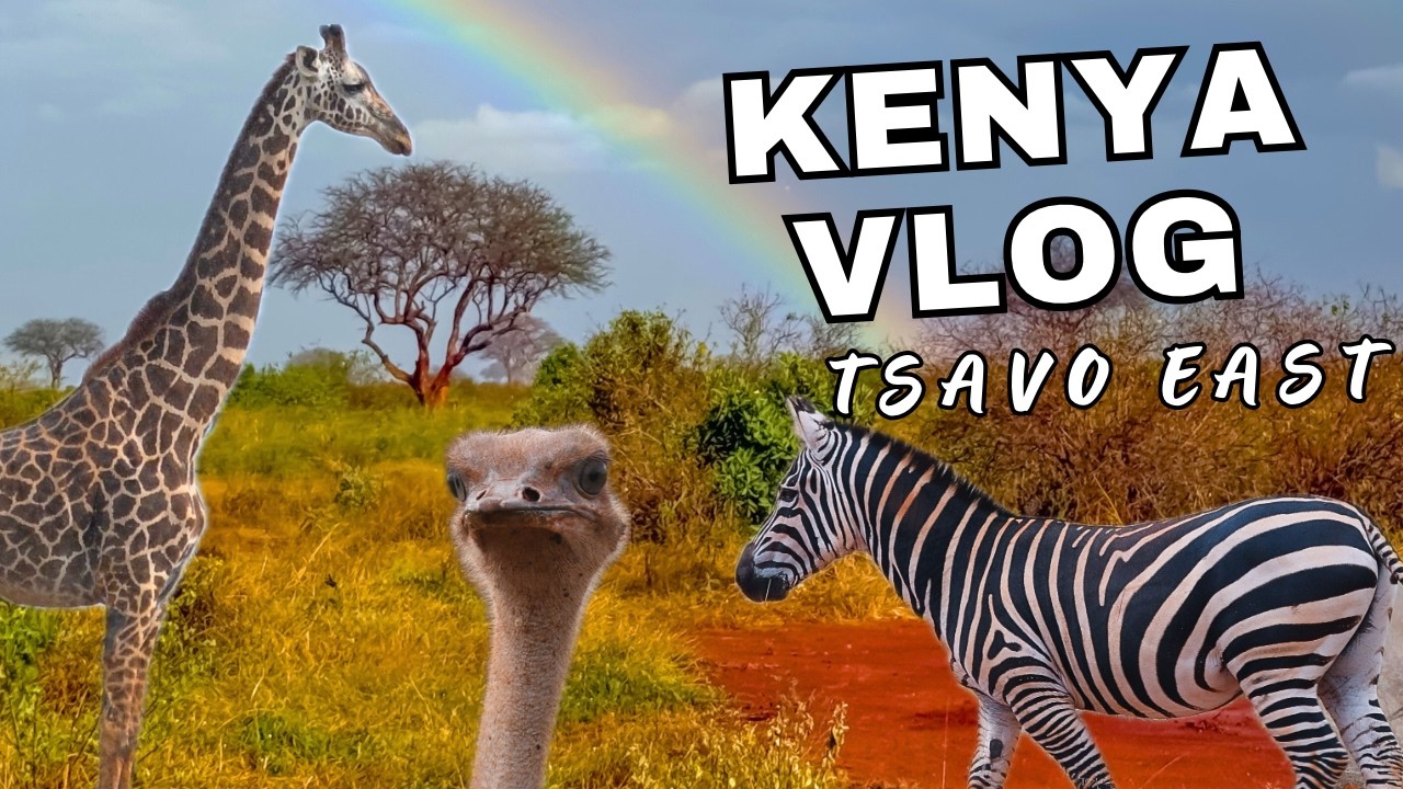 KENYA VLOG 🦁🦓 | Rainy safari, Rainbow, Zebras, elephants, PRIVATE SAFARI | Ngutuni Lodge