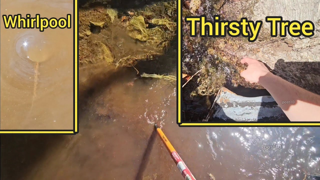 Unclogging At The Thirsty Tree Culvert 2025