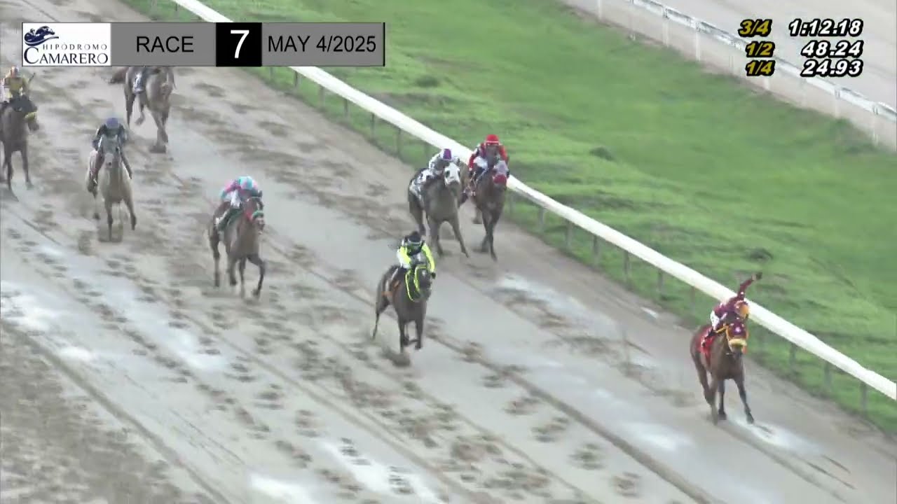 CARISMATICO - Derby Puertorriqueño 2025