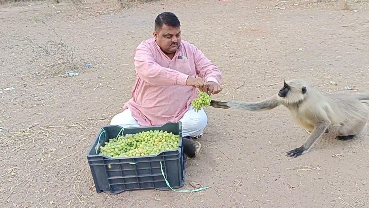 🍇🍇🍇🍇🍇 सब से पहले कैप्टन  🙏jay siyaram 🙏