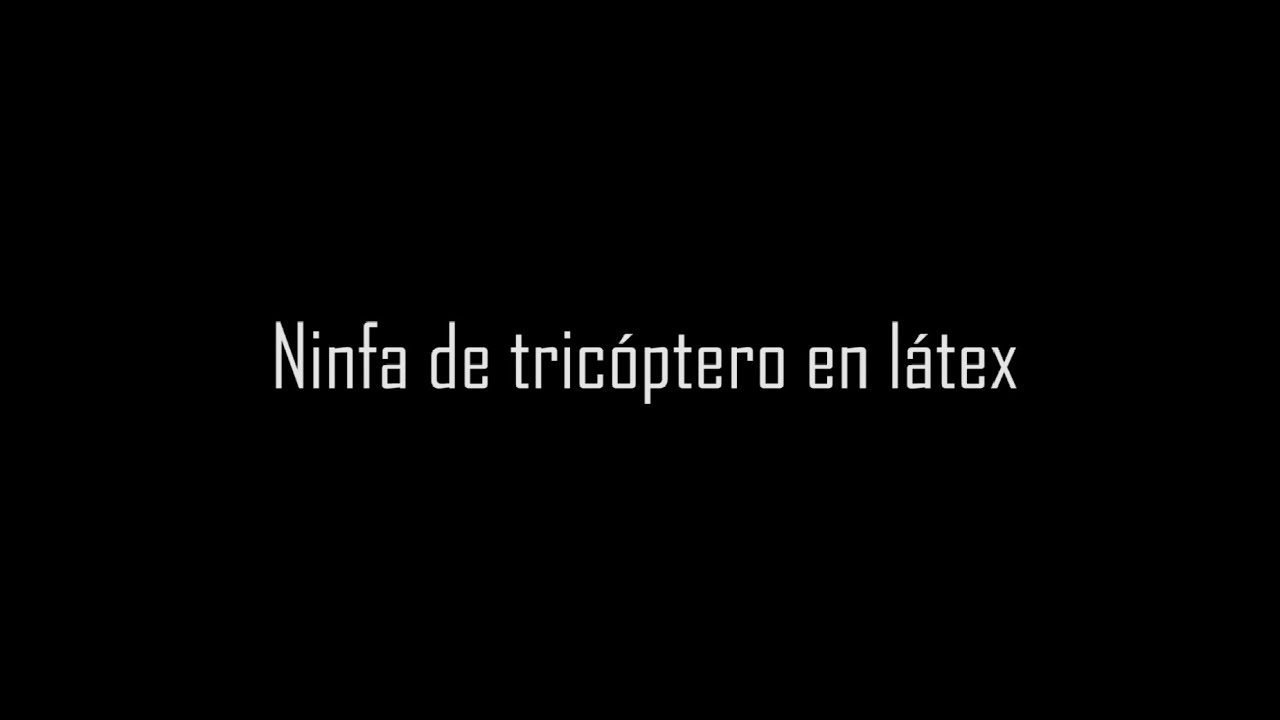Ninfa de tricóptero con cuerpo en Látex por Francisco Muela y Theflycenter