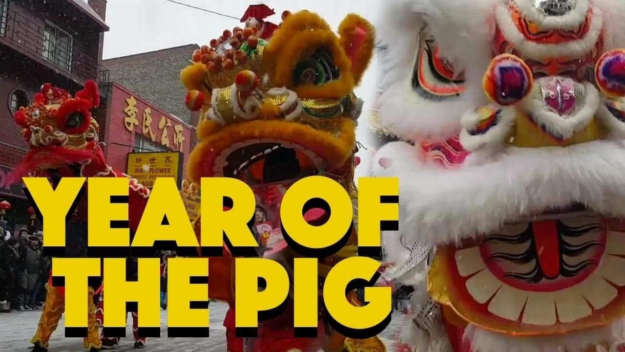 CHINESE NEW YEAR CHICAGO 2019 PARADE/VLOG