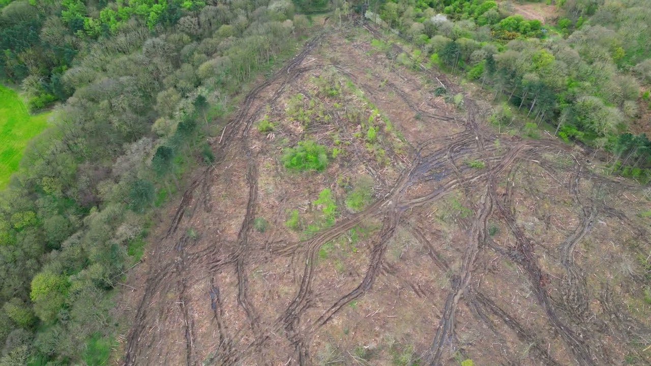 Eston Hill,s damage 11April 2024