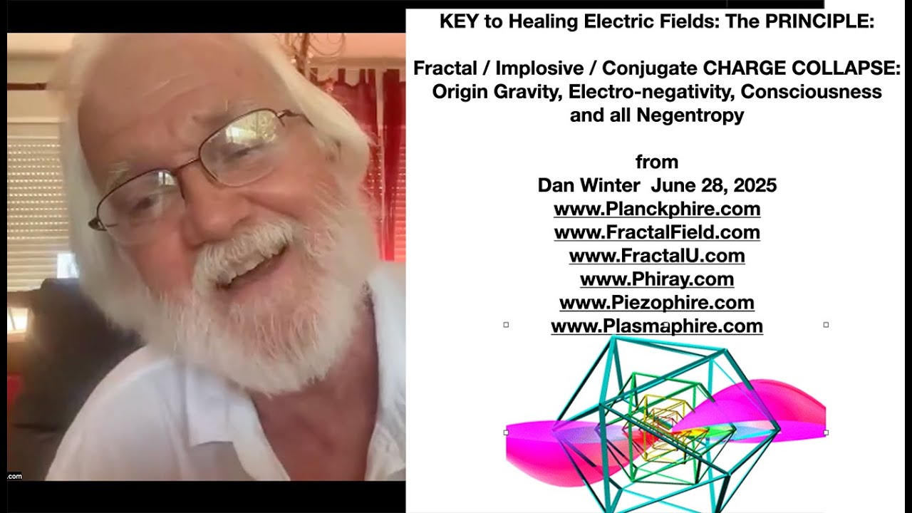 KEY to Healing Electric Fields: The PRINCIPLE:Fractal / Implosive / Conjugate CHARGE COLLAPSE