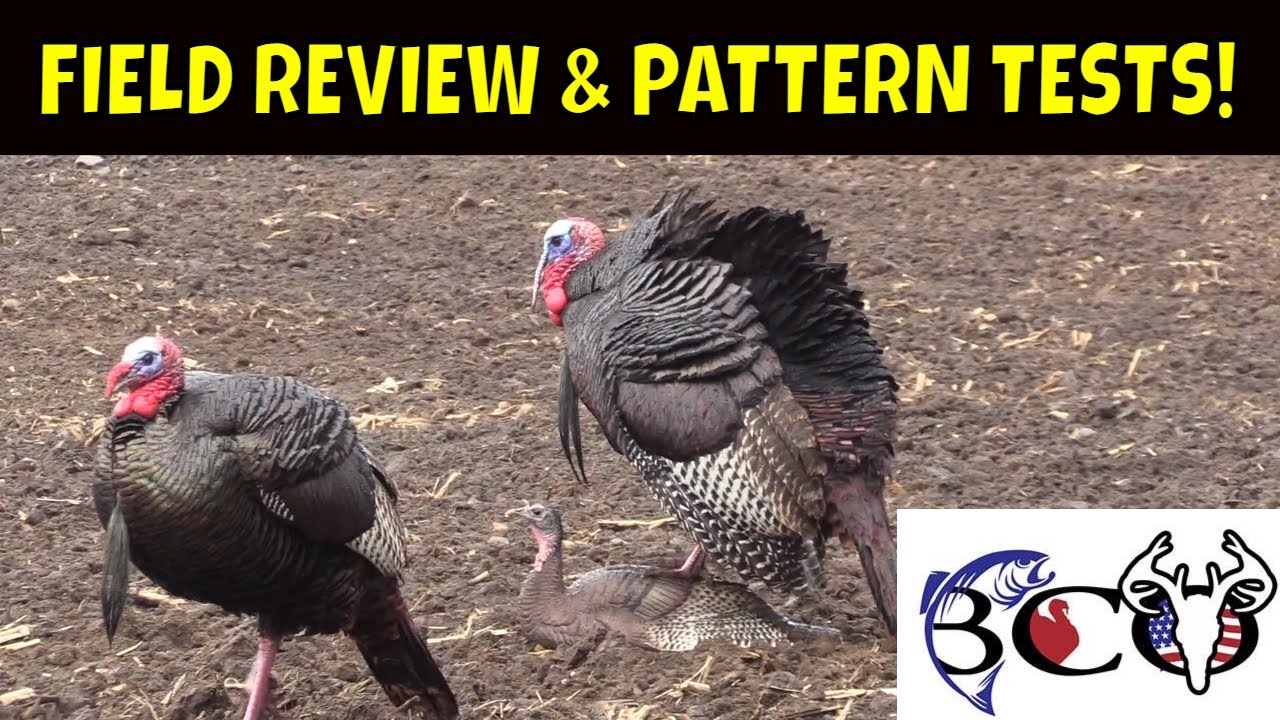 franchi affinity 3 field review & pattern test | bco review |