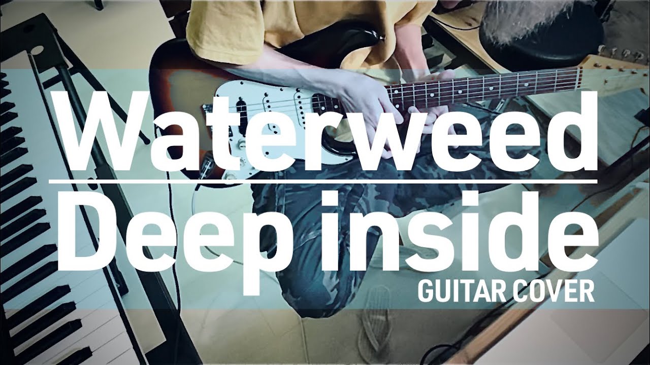 Waterweed - Deep inside - AMT Electronics P1（ギターカバー）