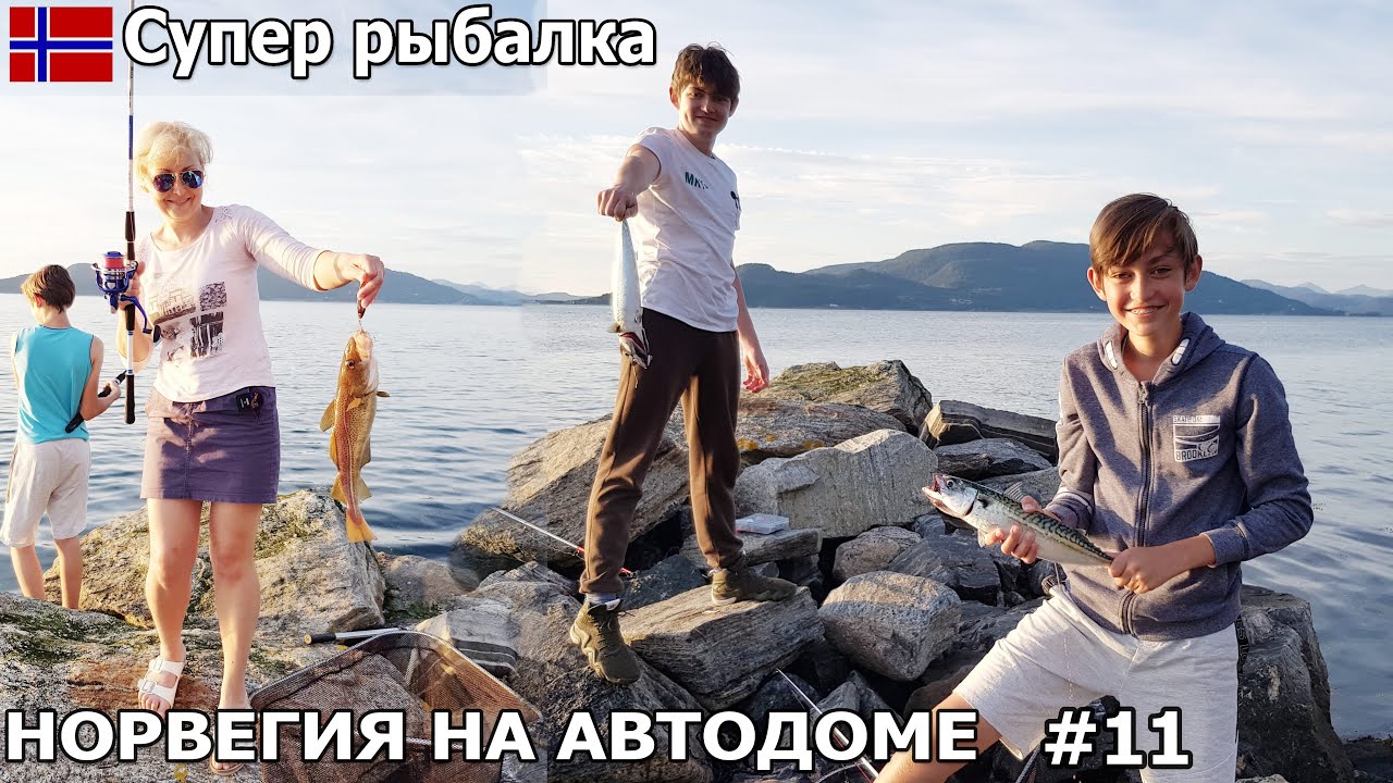 Супер удачная рыбалка напоследок в Норвегии на Tingvollfjorden. Путешествие на автодоме. #11