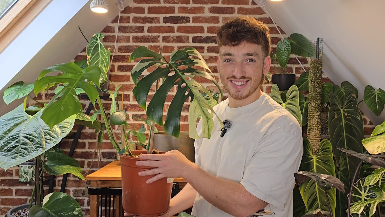 Introductory RARE plant tour!