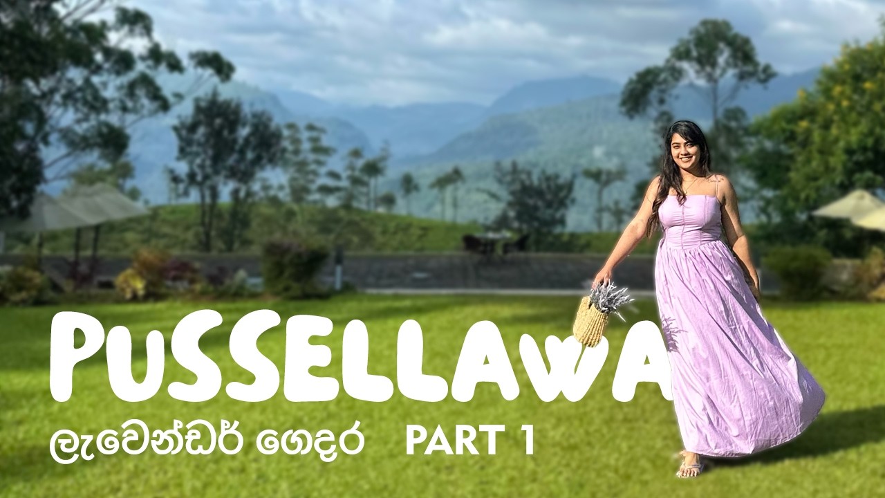 Hidden property in a tea estate | ලැවෙන්ඩර් ගෙදර | Part 1 | Pussellawa, Sri Lanka 💜 ⛰️