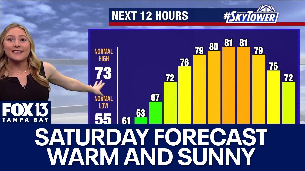 Tampa weather | Sunny and warm temperatures