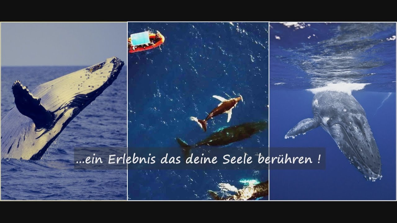 &hellip;ein Erlebnis das deine Seele ber&uuml;hrt!! ein Film von Peter L&ouml;seke