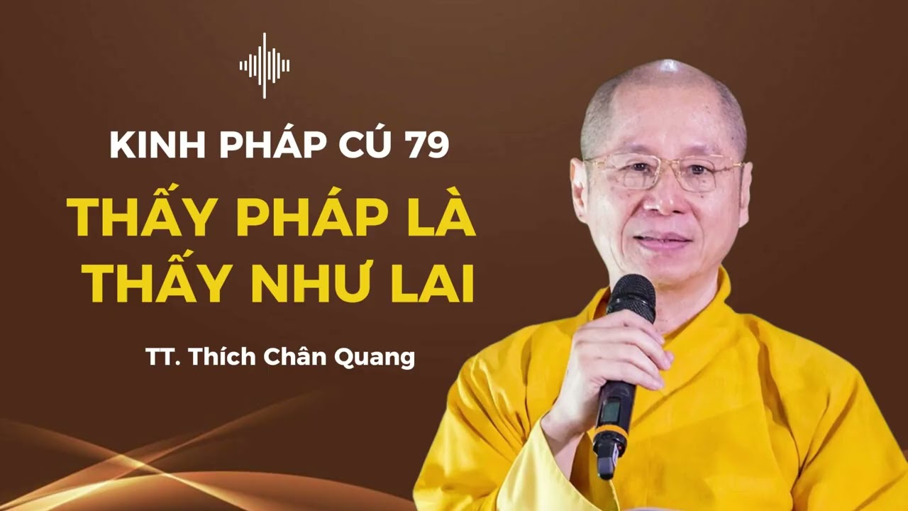79. THẤY PHÁP LÀ THẤY NHƯ LAI - Kinh Pháp Cú - TT. Thích Chân Quang