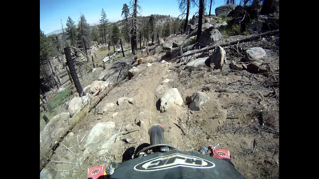 deep forest single track riding - heading to rock lookout