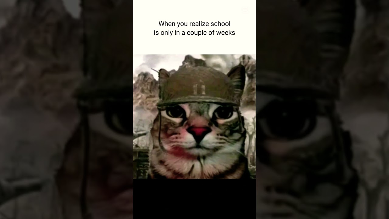 When you realize school in is couple of weeks#short#capcut#template#meme