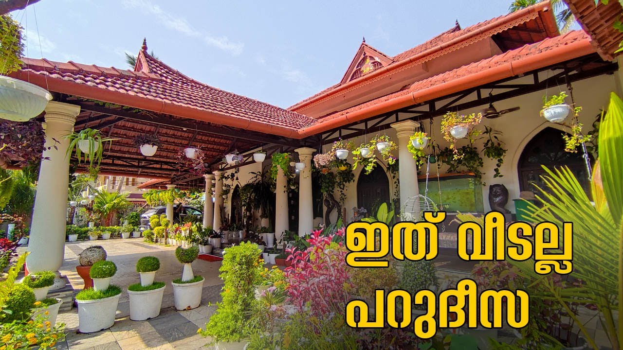 എന്നും പച്ചപ്പ് ,ശുദ്ധ വായു,തണുപ്പ് ;സ്വർഗ്ഗതുല്യം ഈ വീട് 🥰| Amazing Garden Tour | Come on everybody