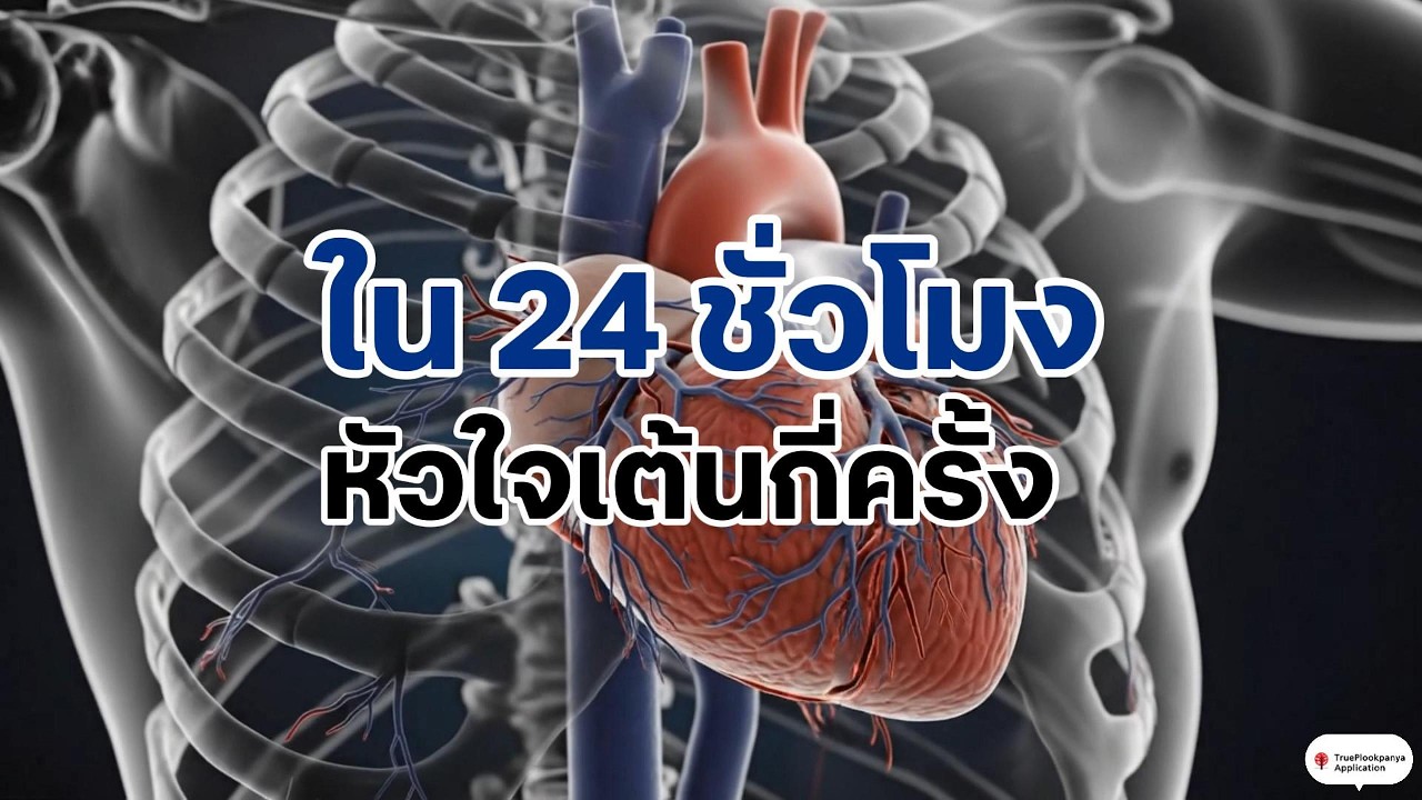 24 ชั่วโมง หัวใจคนเราเต้นกี่ครั้ง #วิทยาศาสตร์น่ารู้