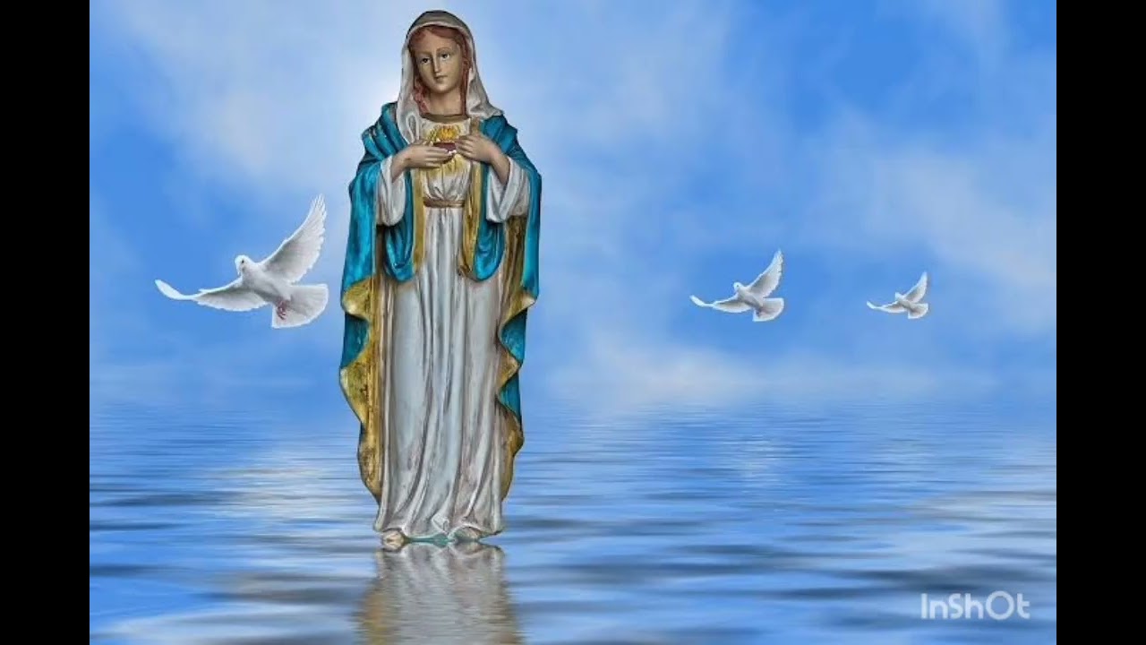 (ave cheia de graça ave cheia de Amor)