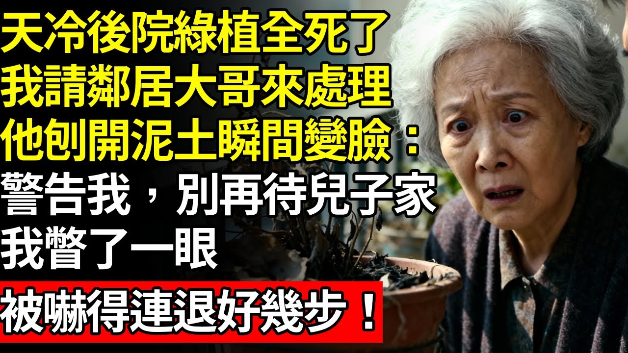 天冷後院綠植全死了，兒子媳婦旅遊不在家，我請隔壁鄰居大哥來處理，他刨開泥土瞬間變臉，警告我，別再待兒子家，我瞥了一眼瞬間冷汗直流#養老#不孝子#人間家務#退休金