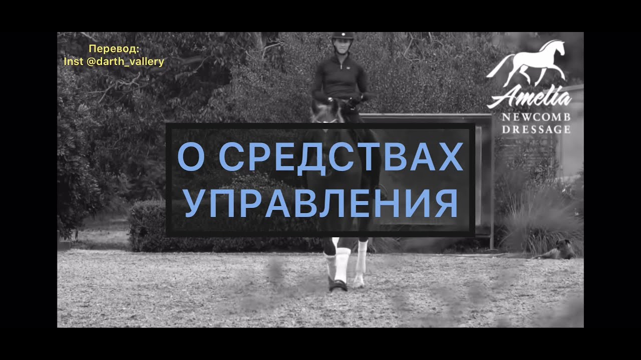 Средства управления. Повод, шенкель, седалище.