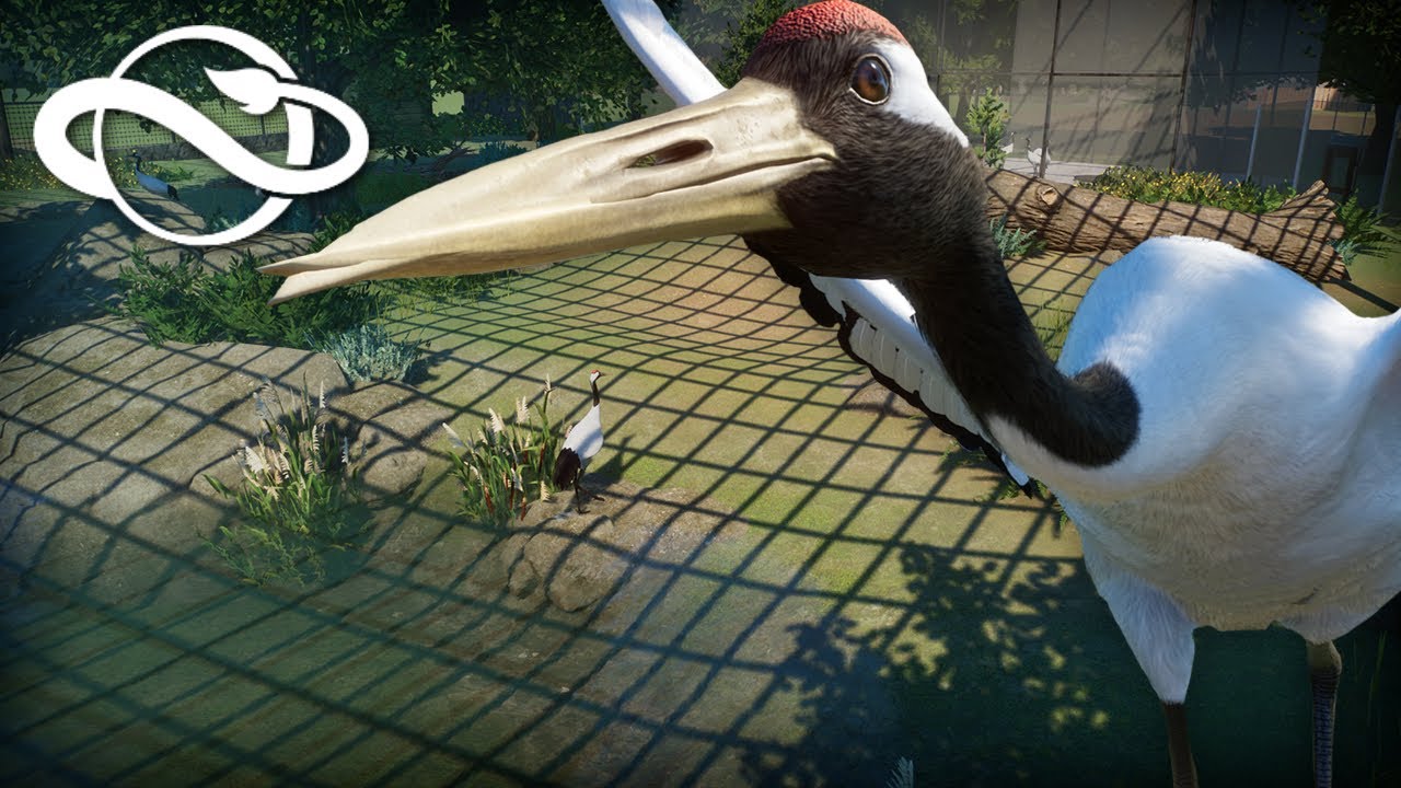 Red-Crowned Crane Aviary | Edinburgh Zoo | Planet Zoo