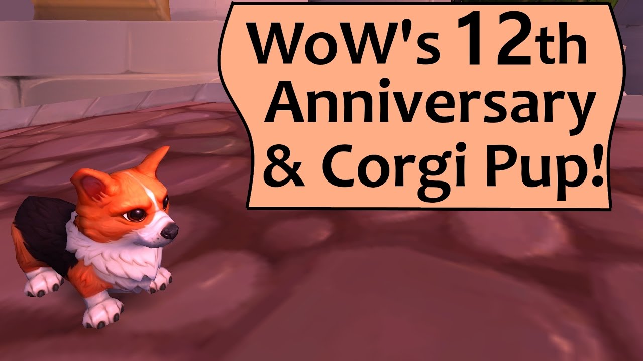Corgi Pup Battle Pet and WoW's 12th Anniversary Event!