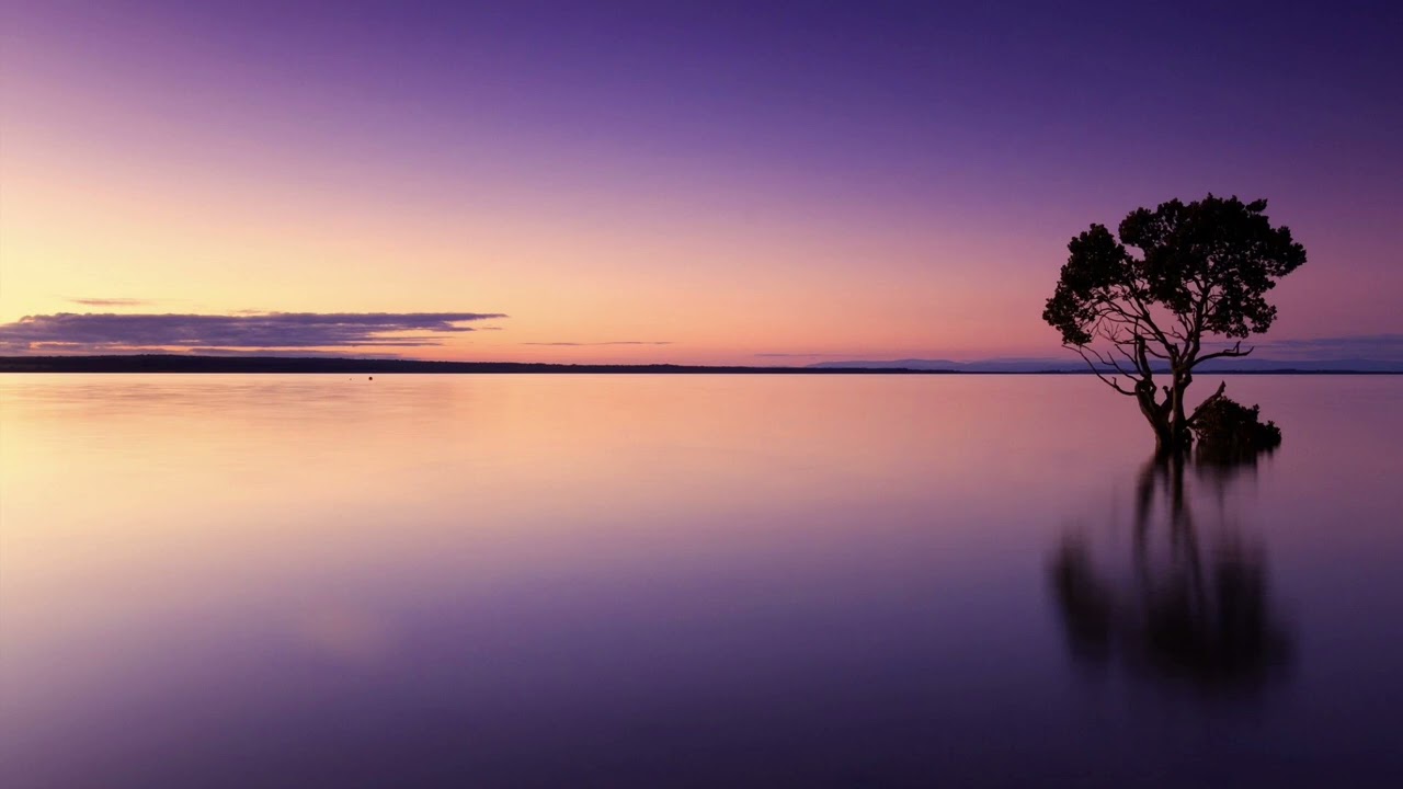 [FREE] CTM 808 type beat 