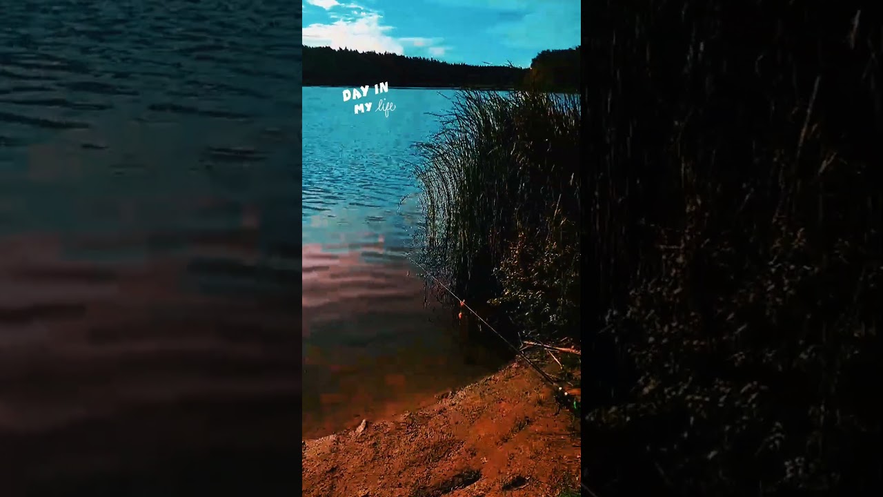 Zalew Jeżewo.                                 #pzw #fishing #wędkarstwo #nature
