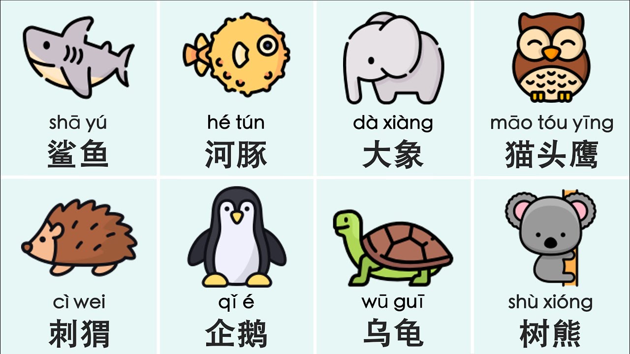 Learn 60 Animals in Chinese — Easy, Fun & Visual!
