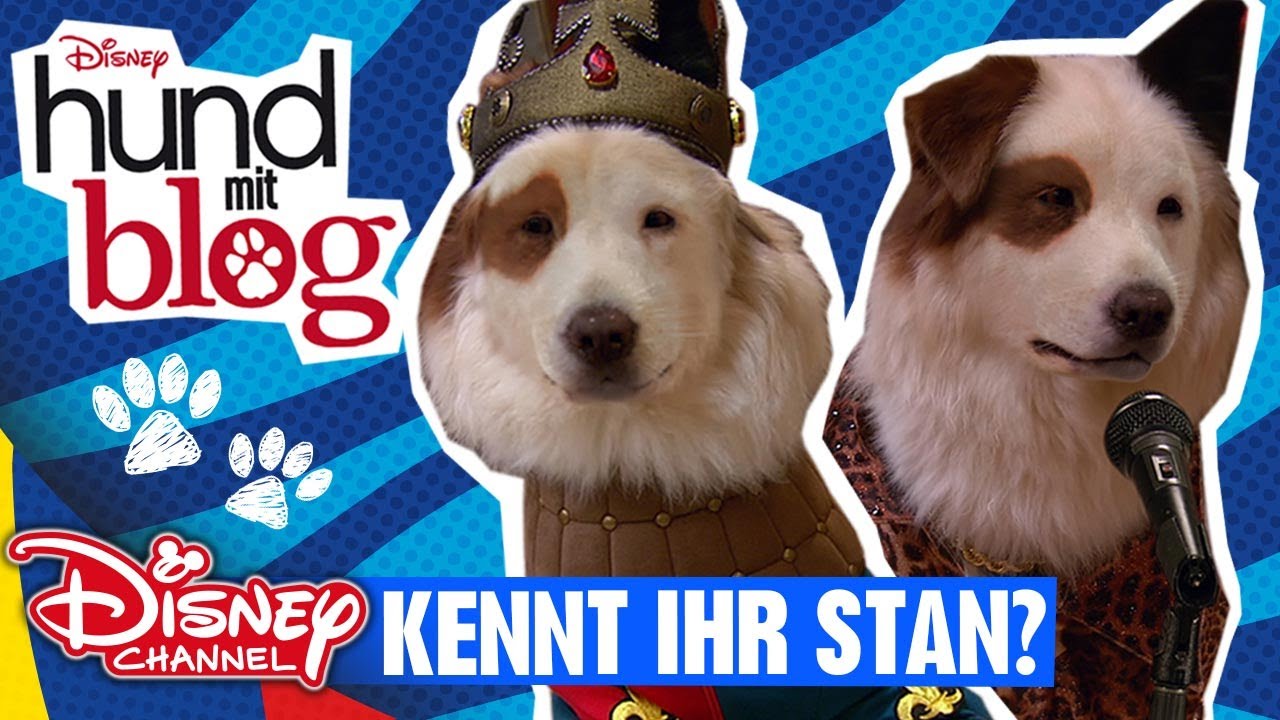 HUND MIT BLOG - Kennt ihr Stan? | Disney Channel App 📱