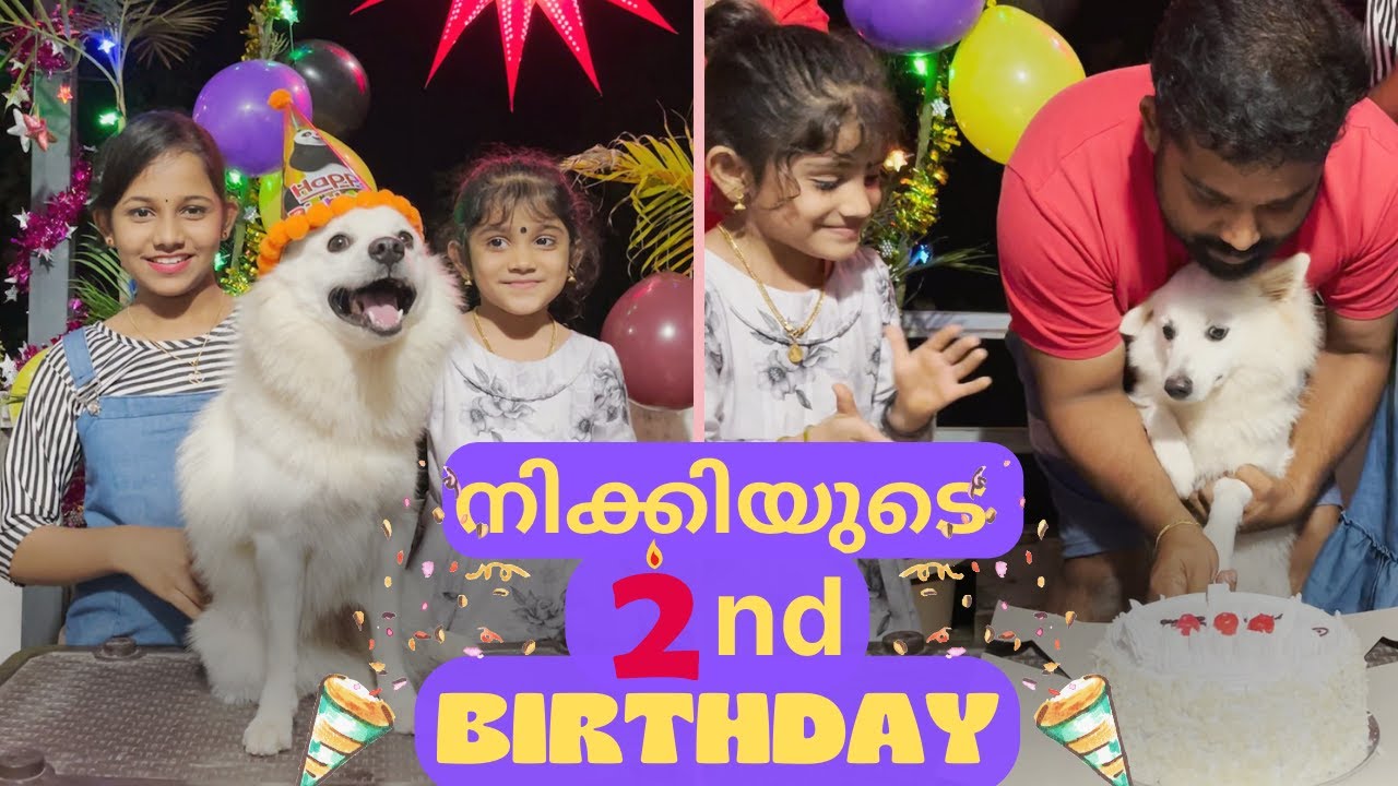 നിക്കിയുടെ Birthday പാർട്ടിക്ക് അത്തിപ്പാറ അമ്മച്ചി വന്നപ്പോൾ