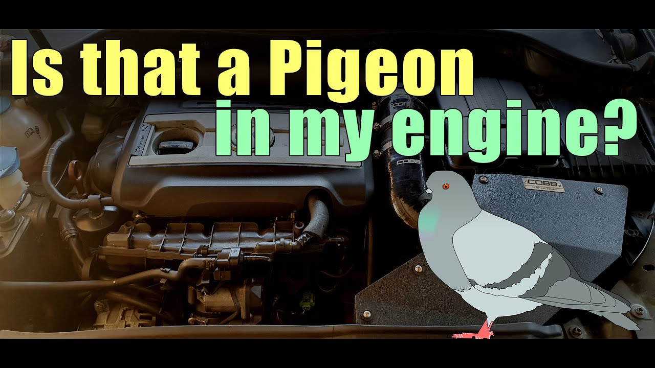 How I installed the COBB MK6 GTI SF Intake - Part 3: Installation + Sound Test