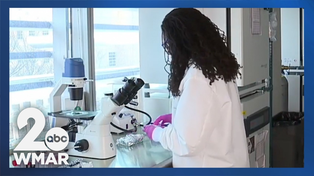 UMD professor grows lab fibroids to find better treatments