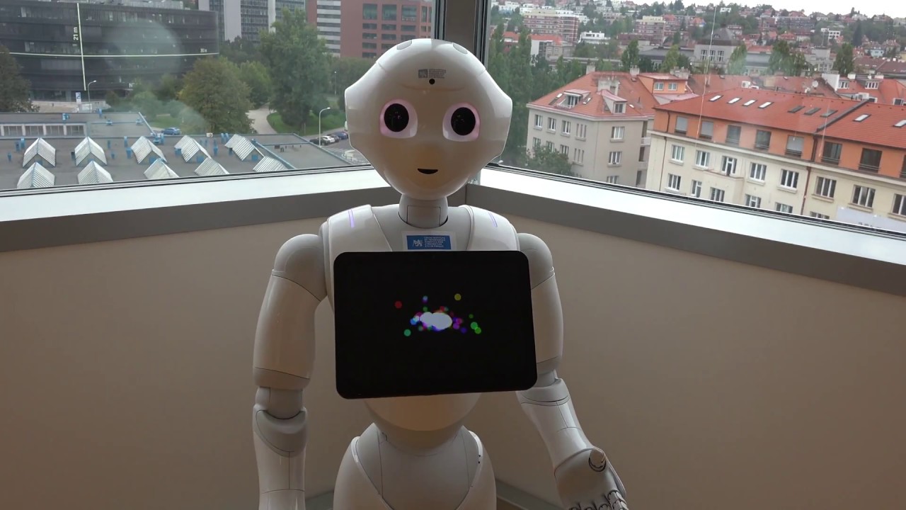 Pepper Introduction