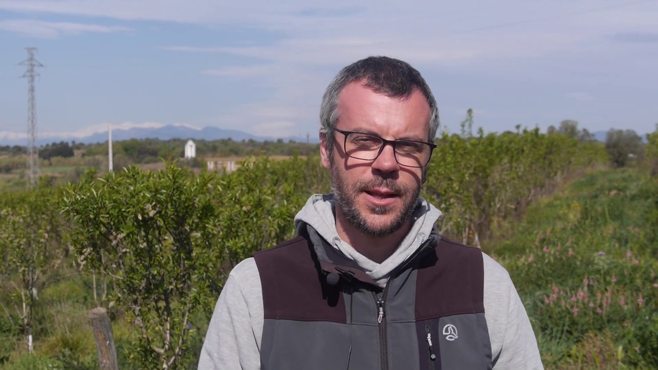 Can Font - producción ecológica de oliva, uva, cereales y almendra