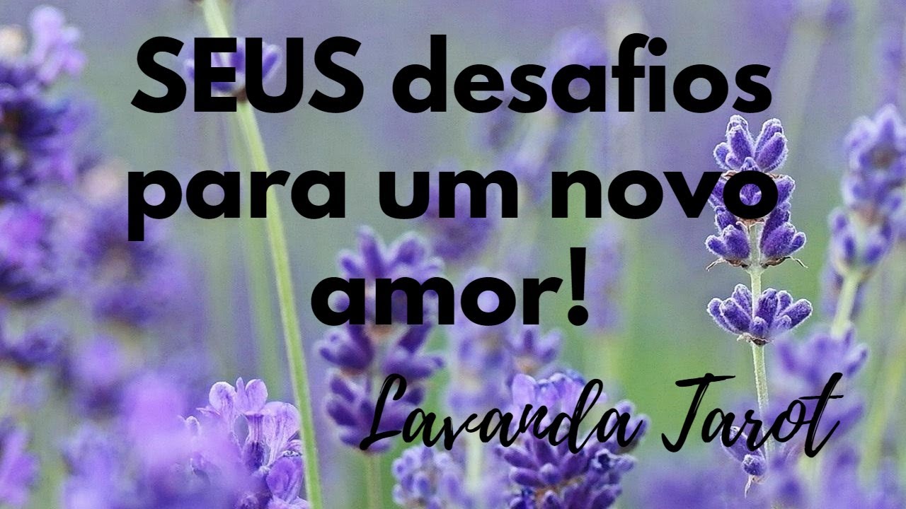 #tarot SEUS desafios para um novo amor!