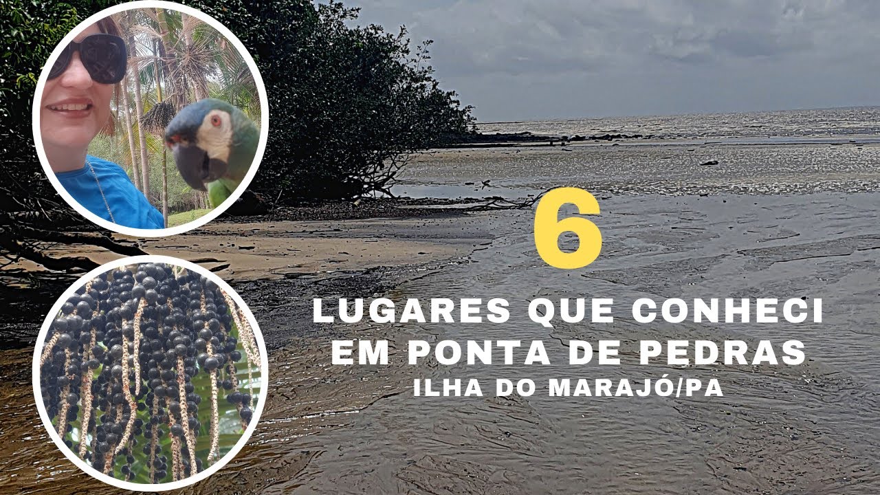 6 Lugares que conheci em Ponta de Pedras | Ilha do Marajó/Pa