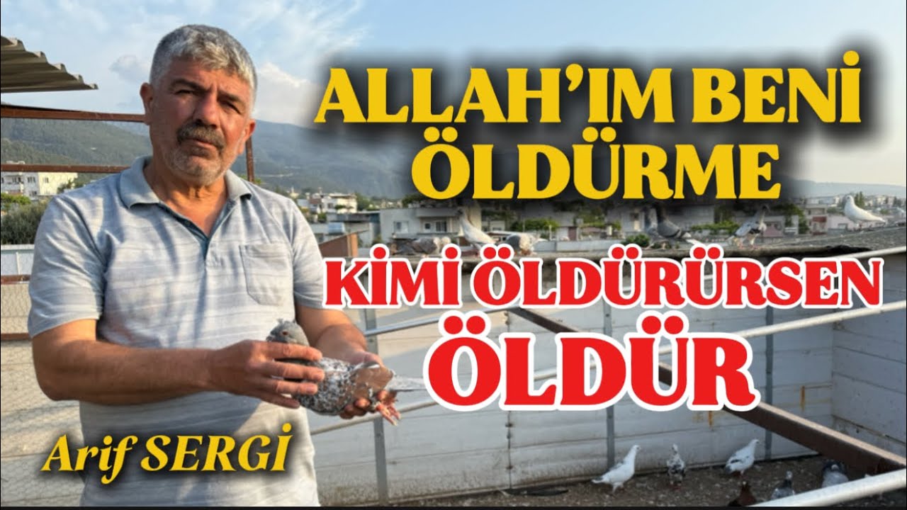 KAYMAKLAR GİDİYOR YOĞURT BİZE KALIYOR ARİF SERGİ (GÜVERCİN DAMLARI SERİSİ)