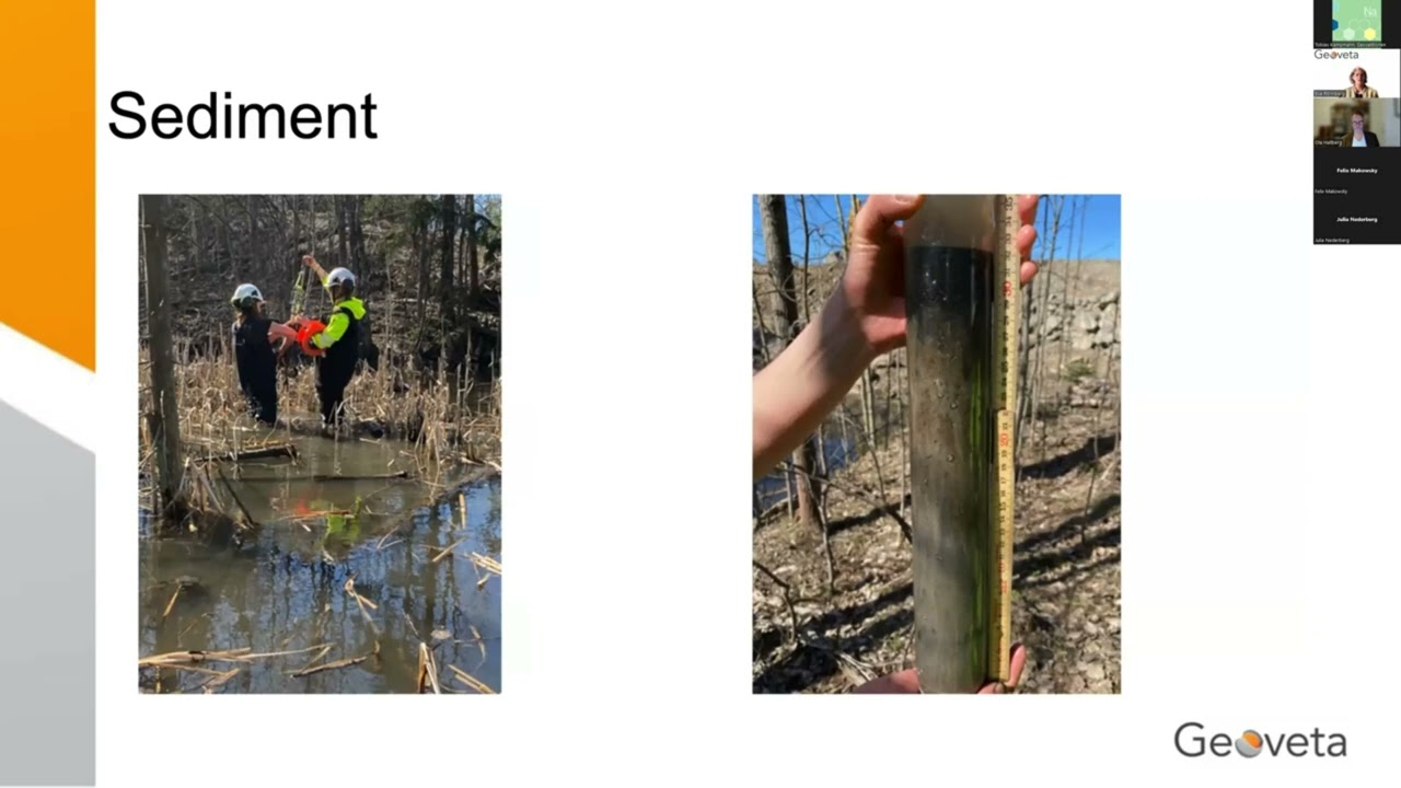 Vad gör en VD på Geoveta?