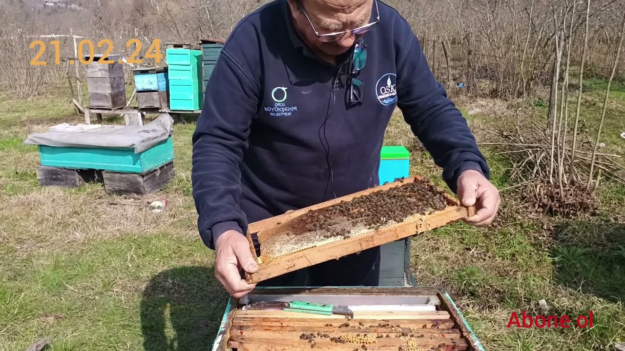21.02.24..Arılarda Yumurta, Yiyecek ve mevcut Kontrolü./ Nogay Arıcılık