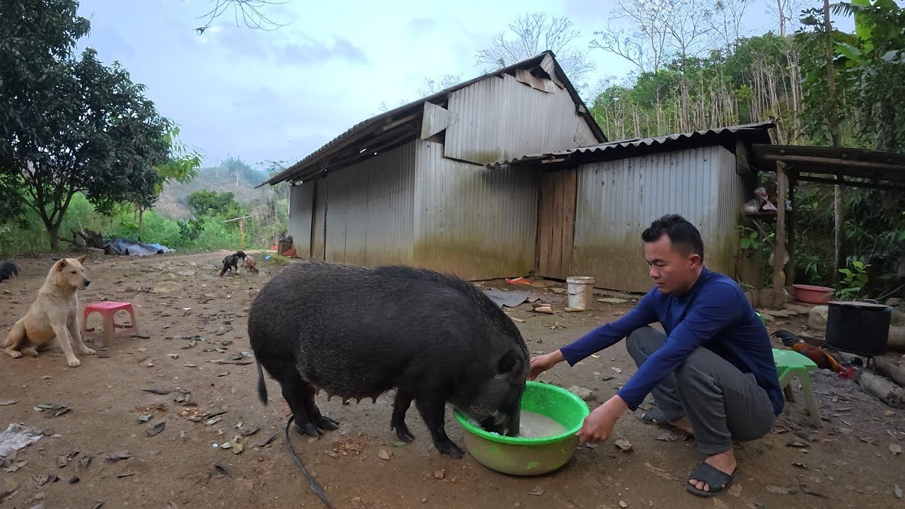 Rời khỏi ngôi nhà cũ sau 10 năm, cuộc sống tự nhiên