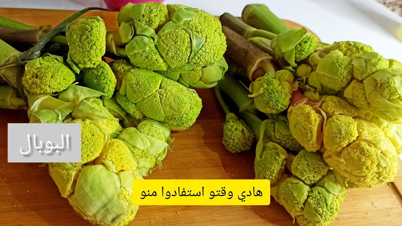 البوبال 👌دخلي تعرفي فوائده وطريقة تحضيره بالطريقة التقليدية والاستفادة من منافعه في هاد البرد