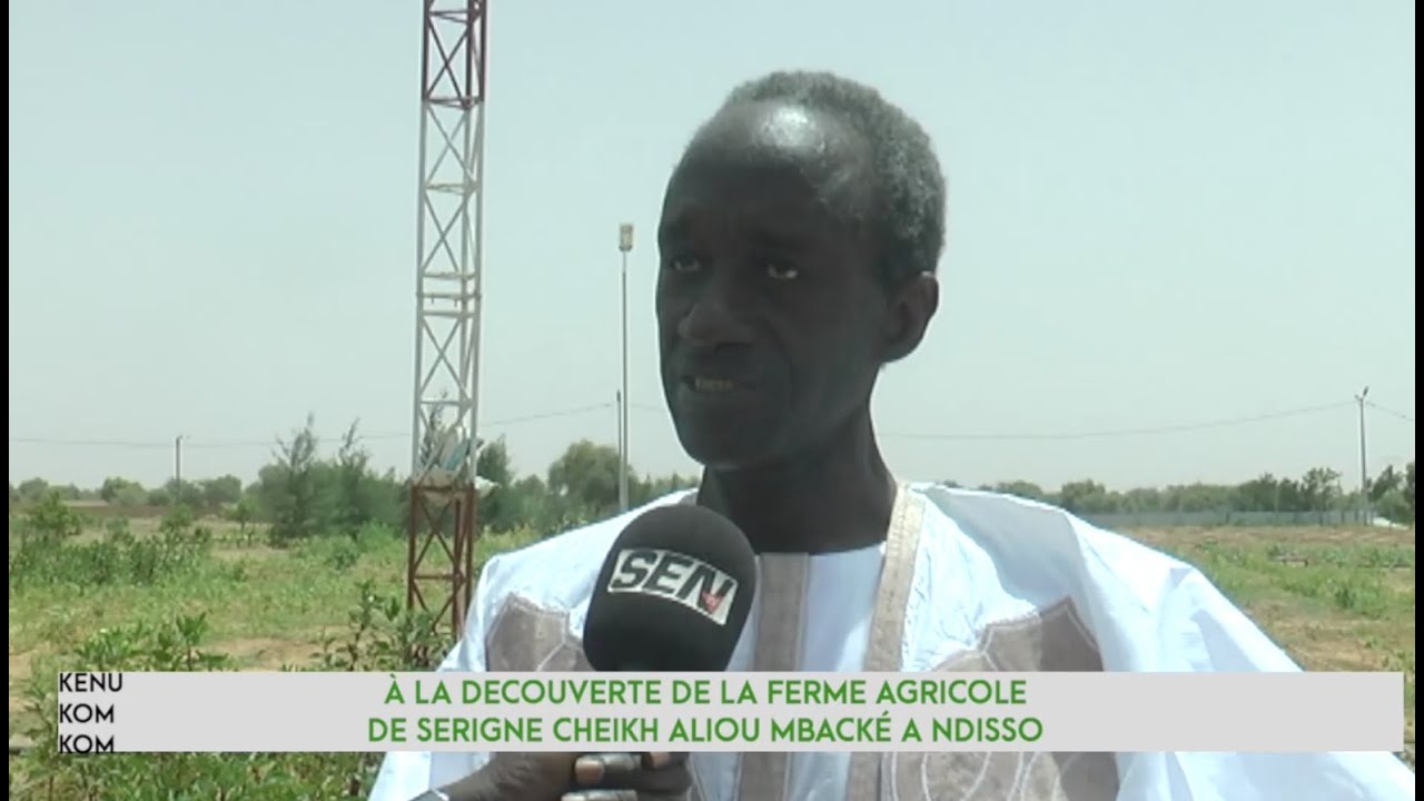 À LA DECOUVERTE DE LA FERME AGRICOLE DE SERIGNE CHEIKH ALIOU MBACKÉ GAÏNDE FATMA À NDISSO