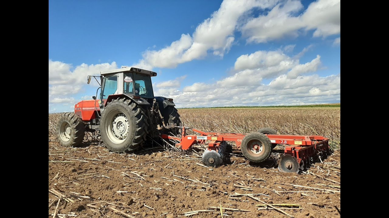 Tanjuranje suncokreta | Massey Ferguson 3670 & Consum Comet 28 | Driver view