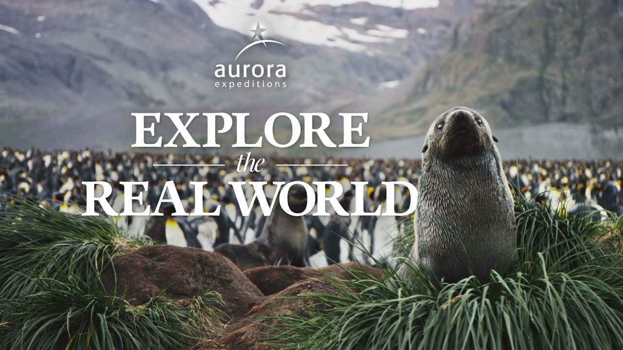 Greg Mortimer, Aurora Expeditions