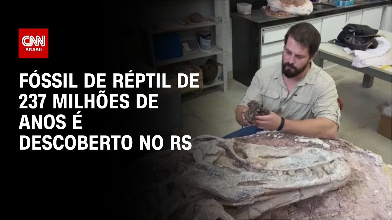 F&oacute;ssil de r&eacute;ptil de 237 milh&otilde;es de anos &eacute; descoberto no RS | CNN NOVO DIA