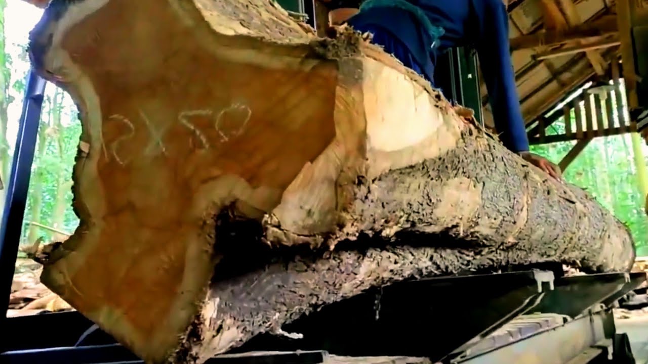 The process of turning teak trees into the frame beams of the Sultan's Joglo house 