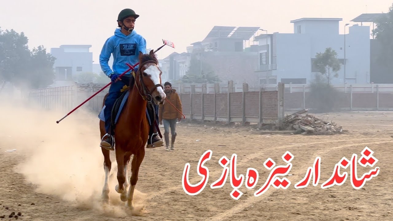 Routine Tent Pegging Practice on Kajol🐎 | Momin Kharal Rider