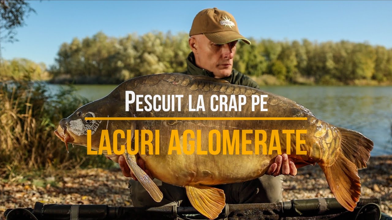 Pescuit la crap pe lacuri aglomerate