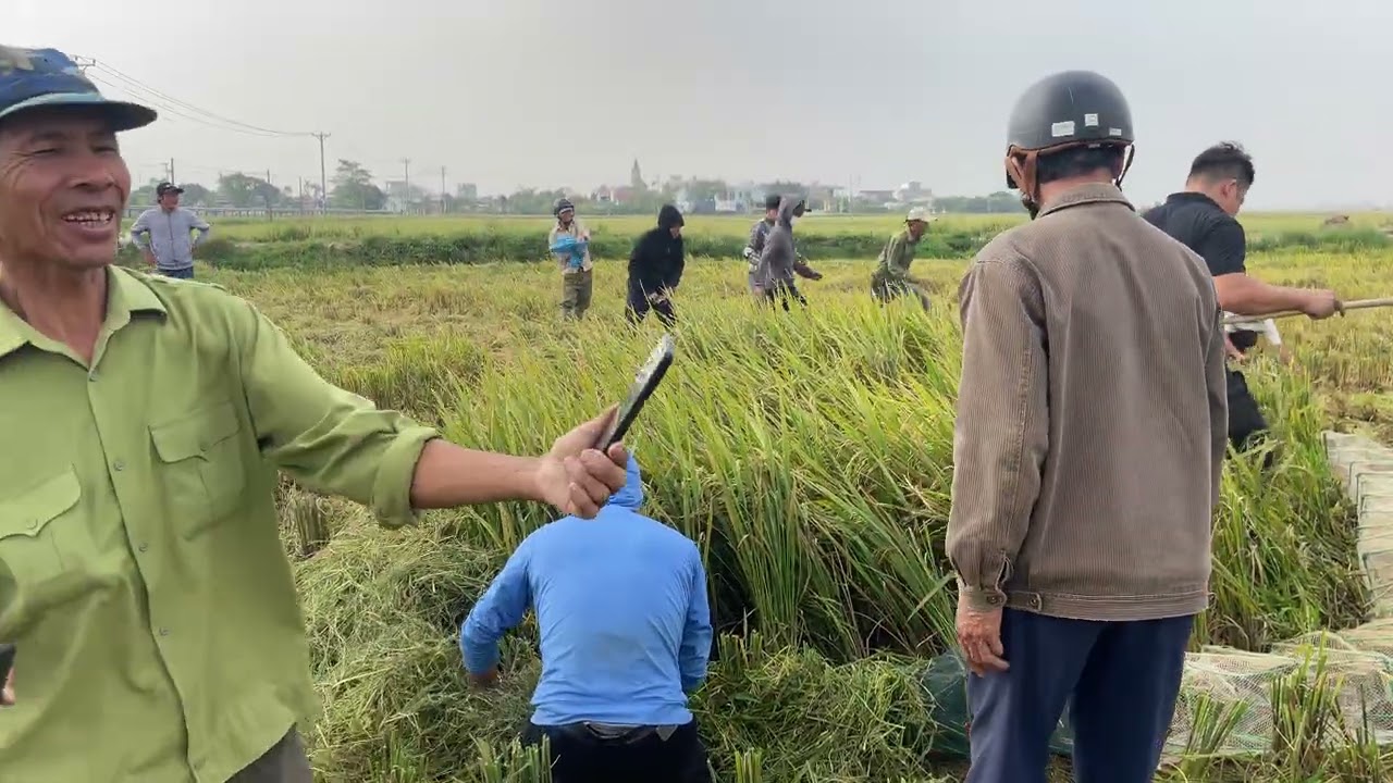 bắt chuột đồng tại trực ninh nam định