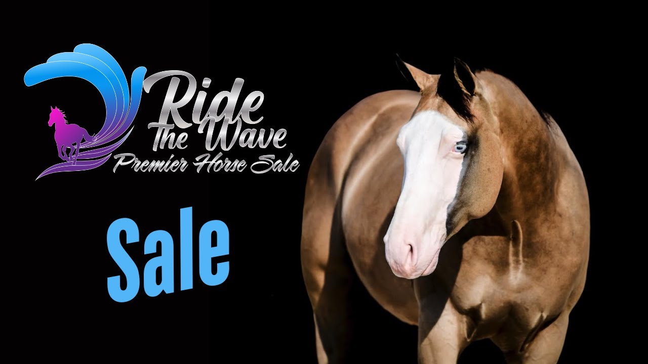 Sale LIVE @ the 2025 Ride the Wave Premier Horse Sale